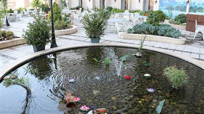 حیاط هتل سی نور مشهد حیاط هتل سی نور مشهد